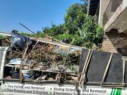 Best Attic Cleanout  in , DC